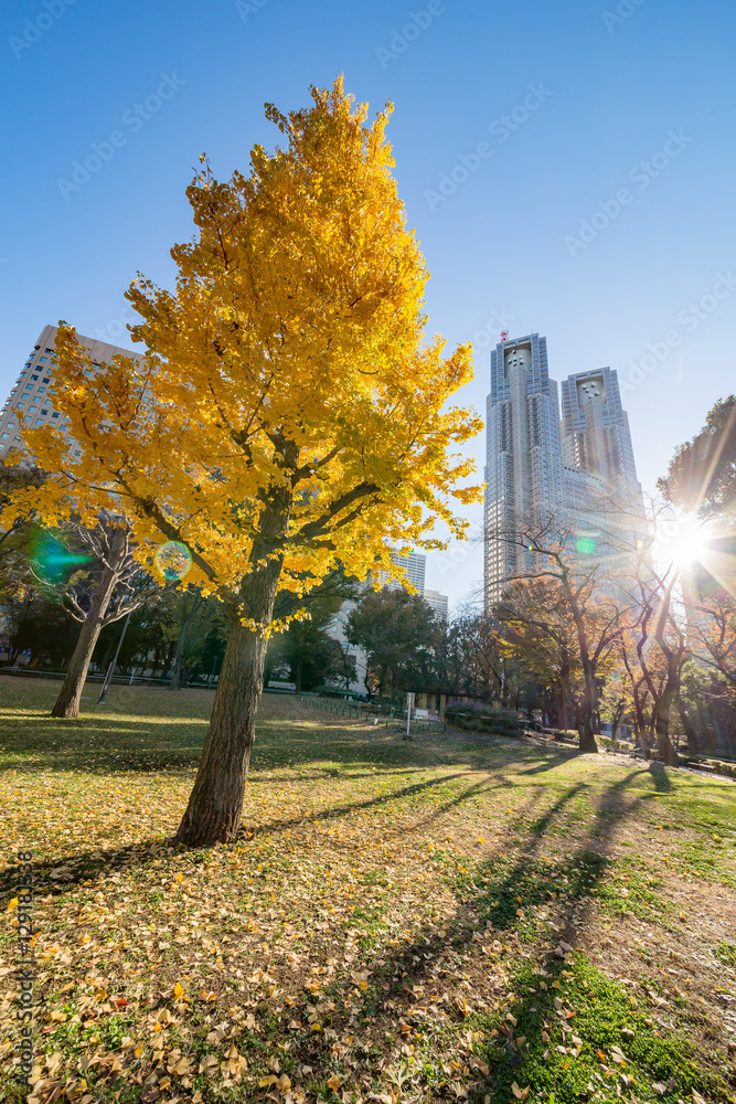 新宿の風景