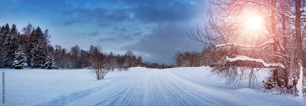 穿过针叶林的道路上的冬季全景