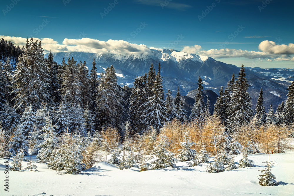 Wonderful snowy winter landscape,Poiana Brasov,Carpathians,Transylvania,Romania,Europe