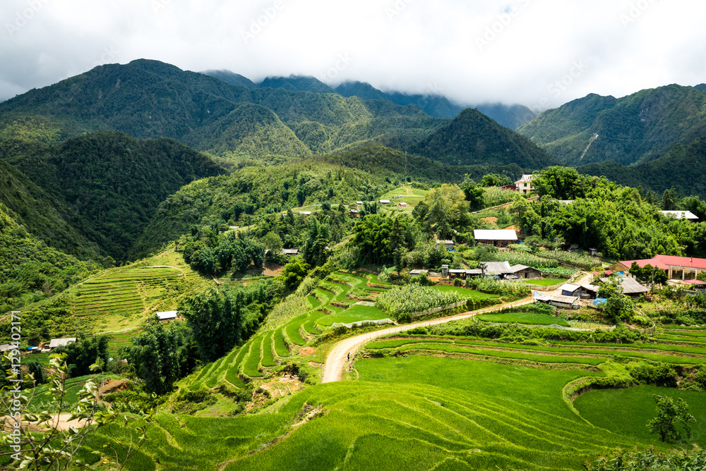 山景