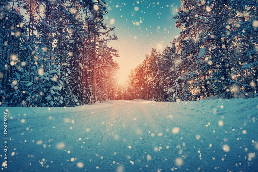 winter panorama on the road through coniferous forest