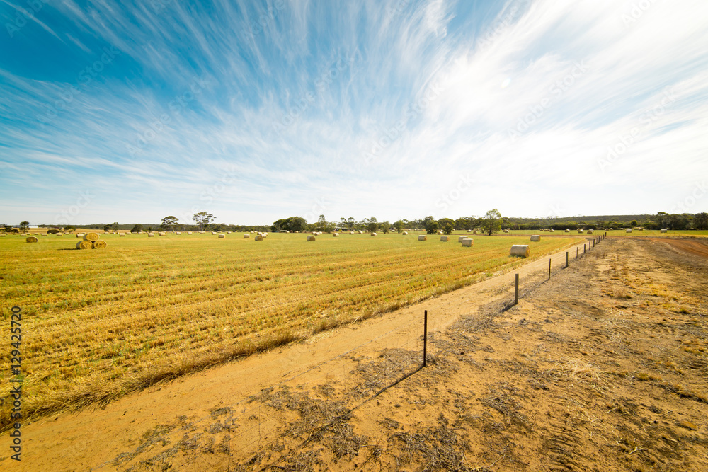 Hay and straw bales in the end of summer. Western Australia.