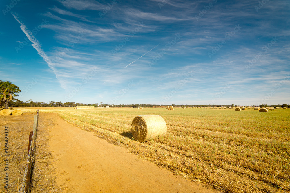 Hay and straw bales in the end of summer. Western Australia.