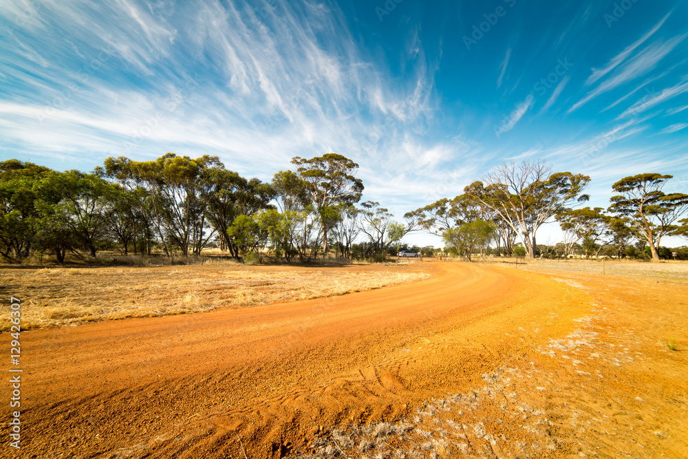 Off-road in the Golden wheat field, ,blue sky .