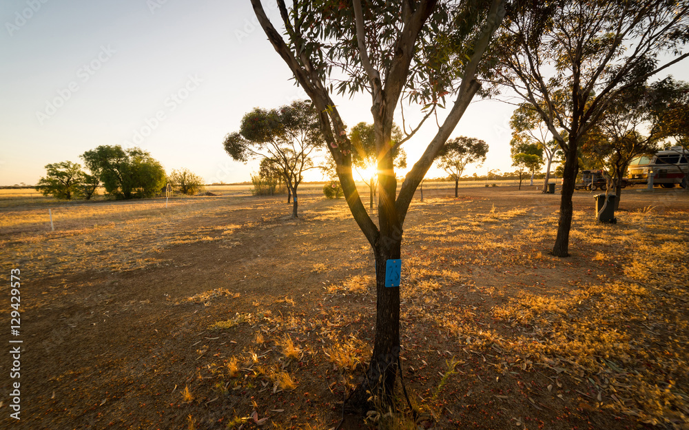 Sunrise in the morning at the Hyden farm ,Western Australia.