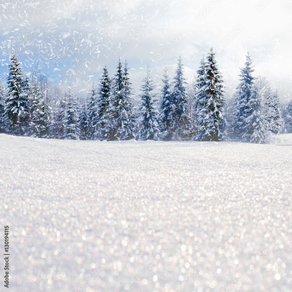 Winter landscape with snowy trees and snowflakes