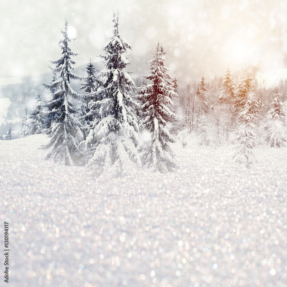 Winter landscape with snowy trees and snowflakes