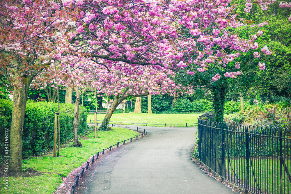 Saint Stephens Green park, Dublin