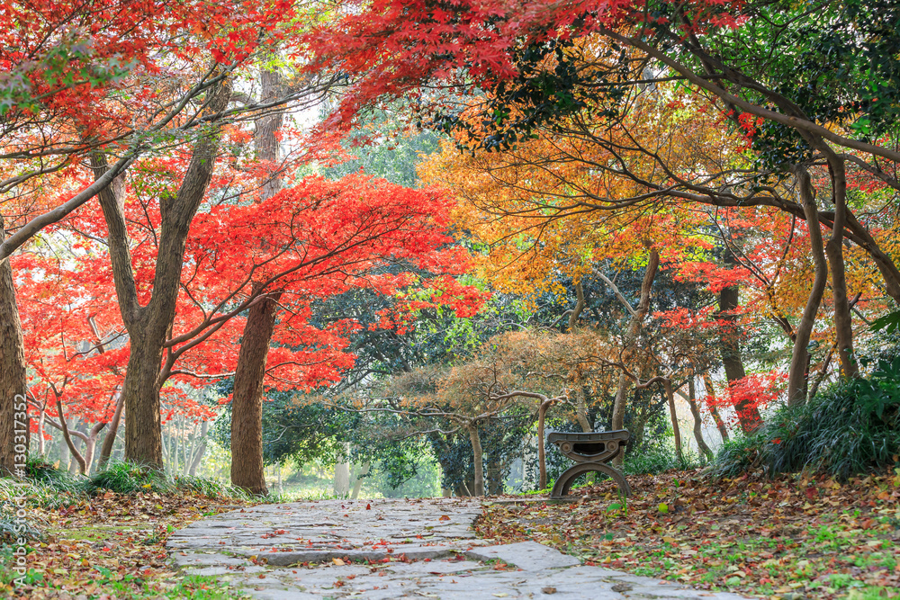 Autumn landscape in the park