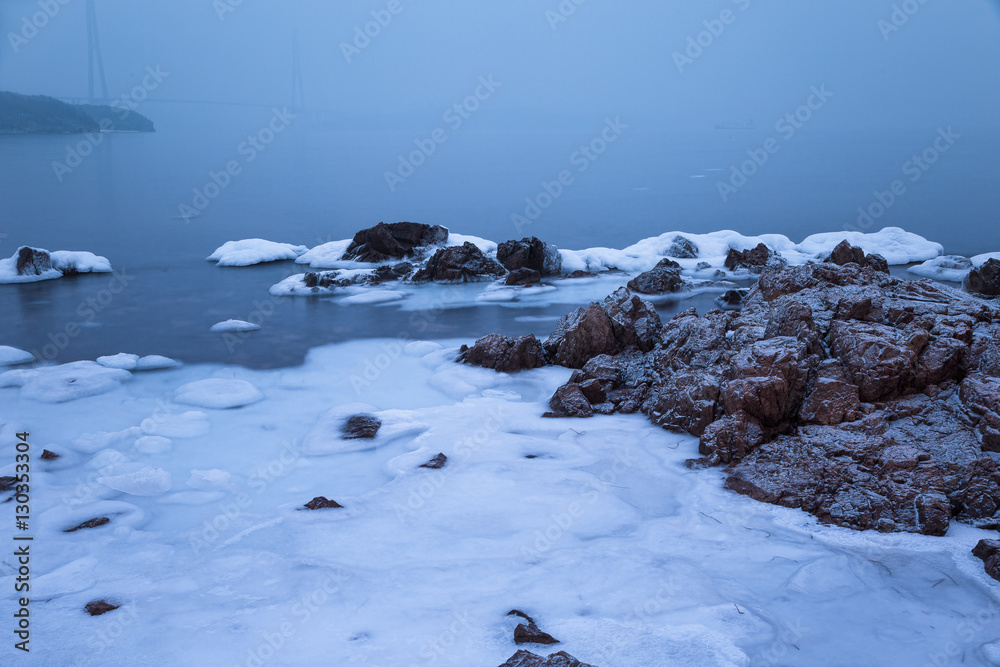 Winter sea and ice