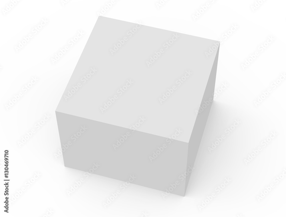 blank white box model