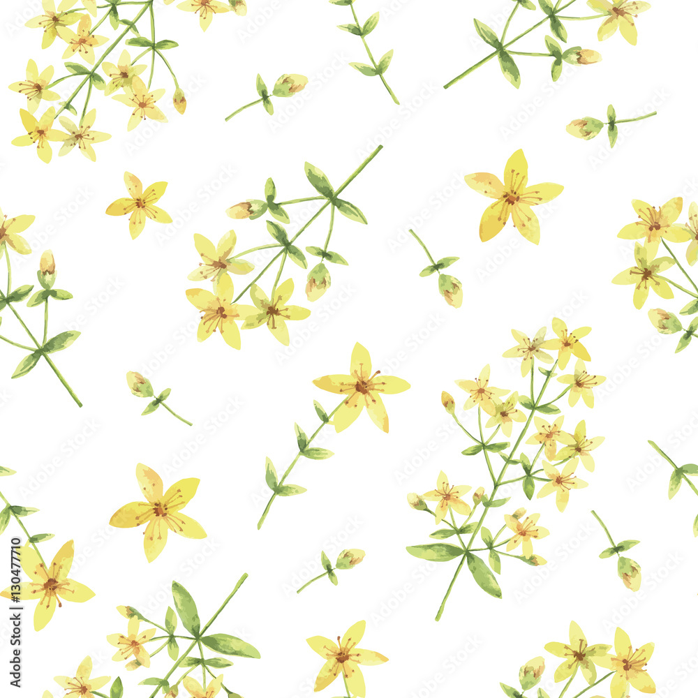 Watercolor vector seamless pattern with St Johns wort flowers and branches.