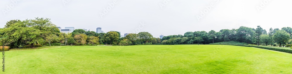 Green lawn with blue sky and clouds in park