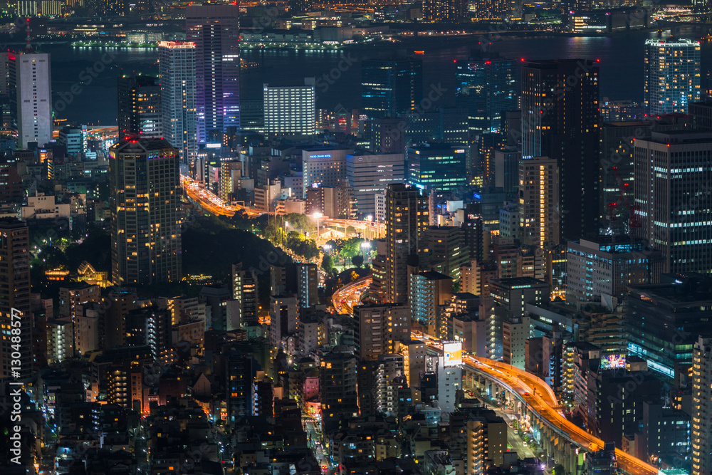 Tokyo, Japan cityscape and highways.