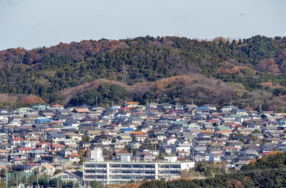 紅葉と住宅街