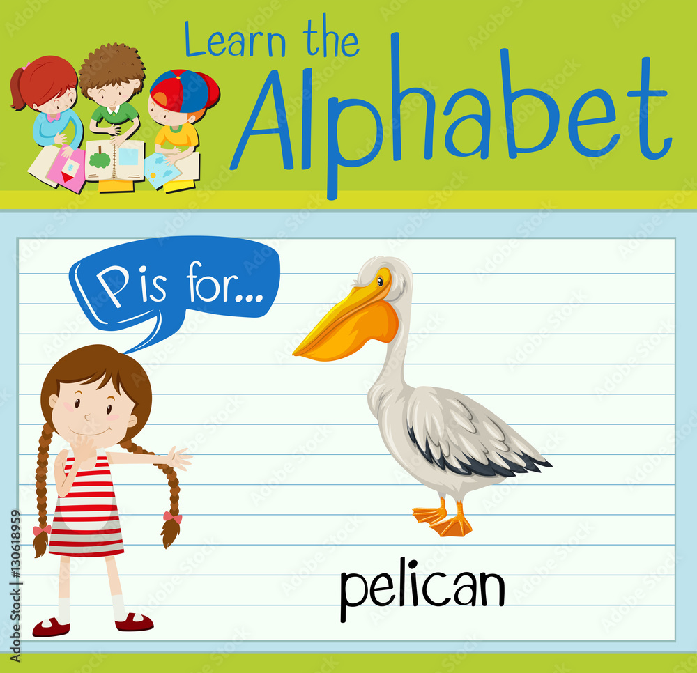 Flashcard letter P is for pelican