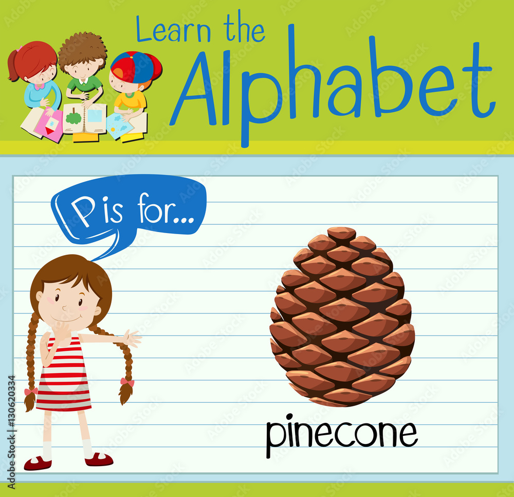 Flashcard letter P is for pinecone