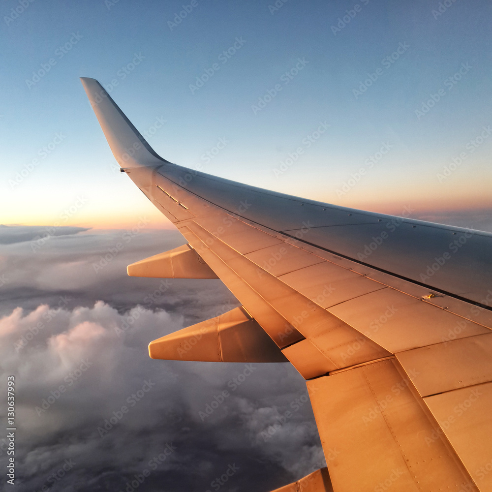 Wing of airplane