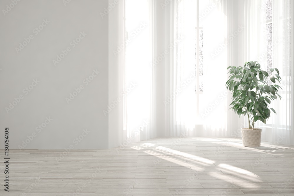 White living room interior with flower