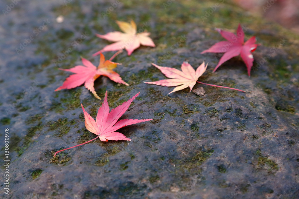 紅葉