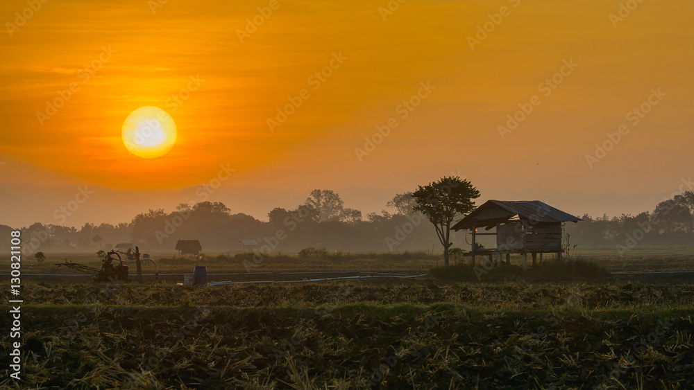 hut in farmland of people in countryside Thailand in morning sunrise.