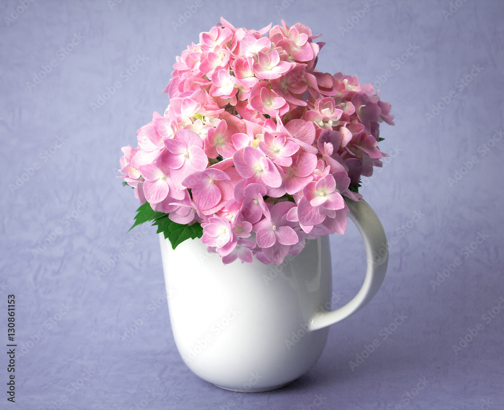 the sweet  hydrangea flowers in white vase