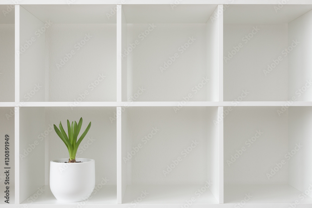 Hyacinth plant in a white pot. Flower on a rack. Interior background.