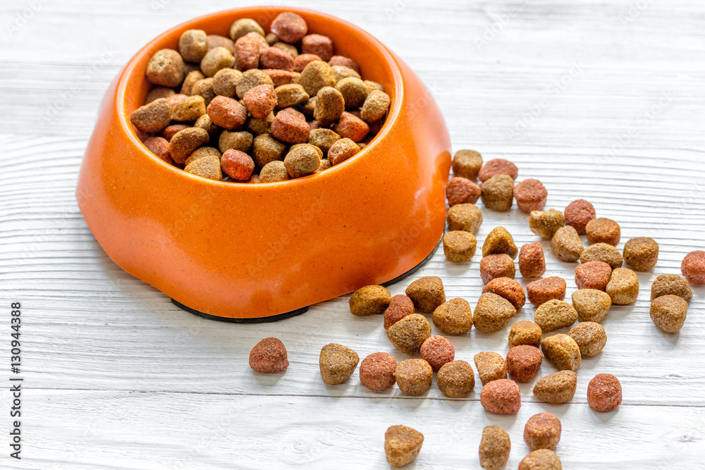 dry dog food in bowl on wooden background