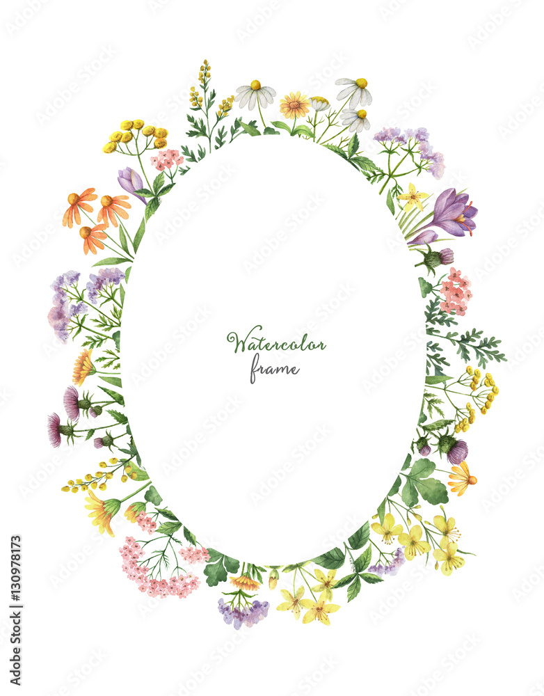 Watercolor oval wreath with meadow plants.