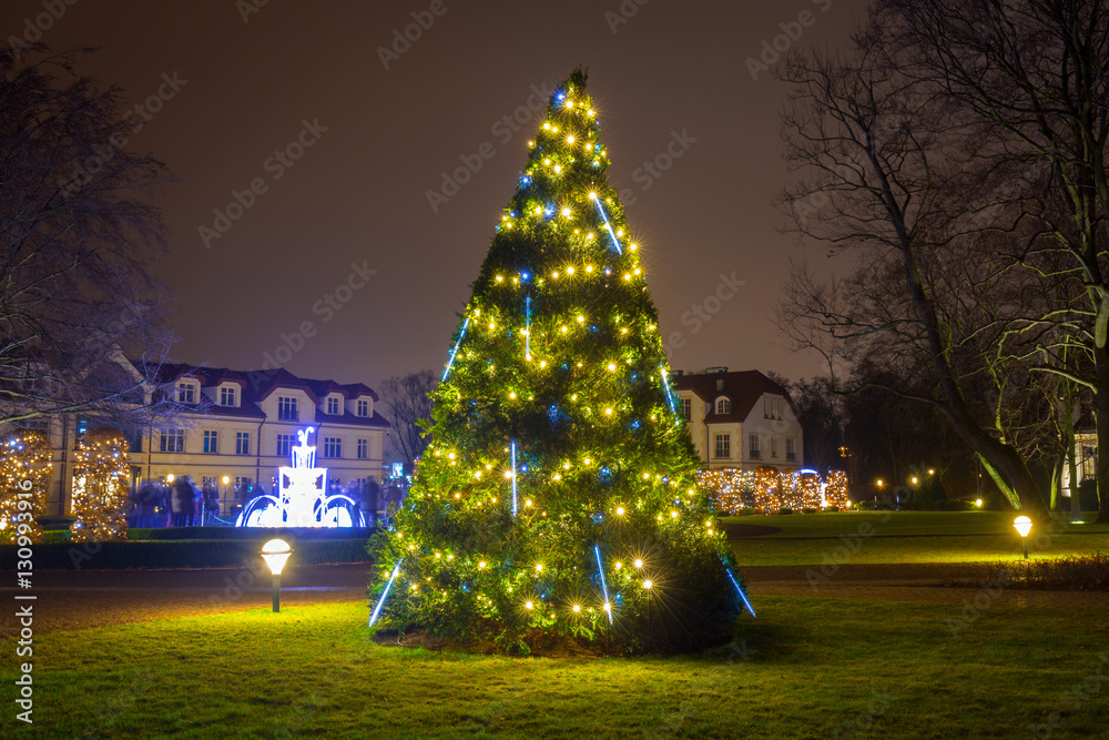 Beautiful Christmas tree illuminated at the park oliwski of Gdansk, Poland