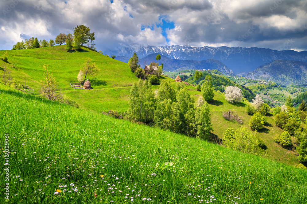 Spring landscape with rural village, Pestera, Transylvania, Romania, Europe