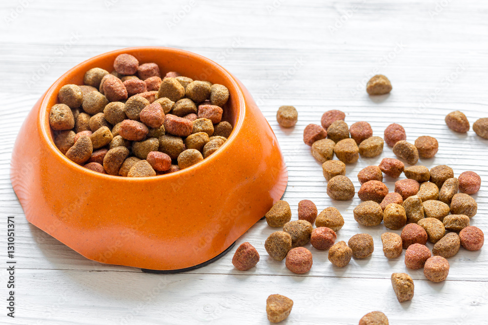 dry dog food in bowl on wooden background