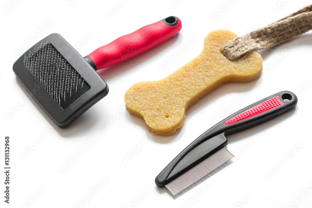 concept pet care and grooming on white background