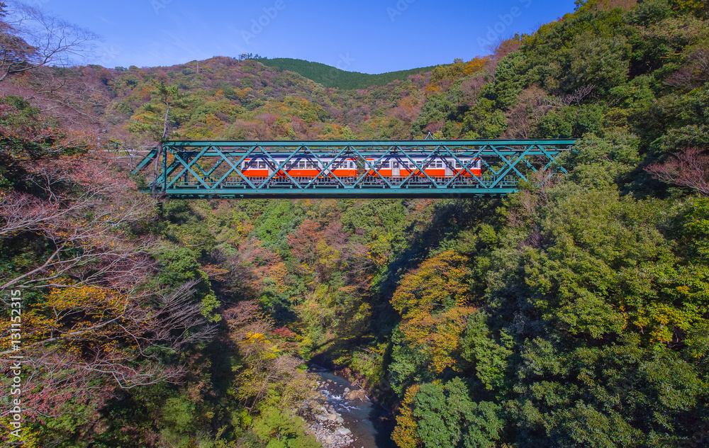 Beautiful mountain landscape with railway bridge and train in autumn season at Hakone town , Japan