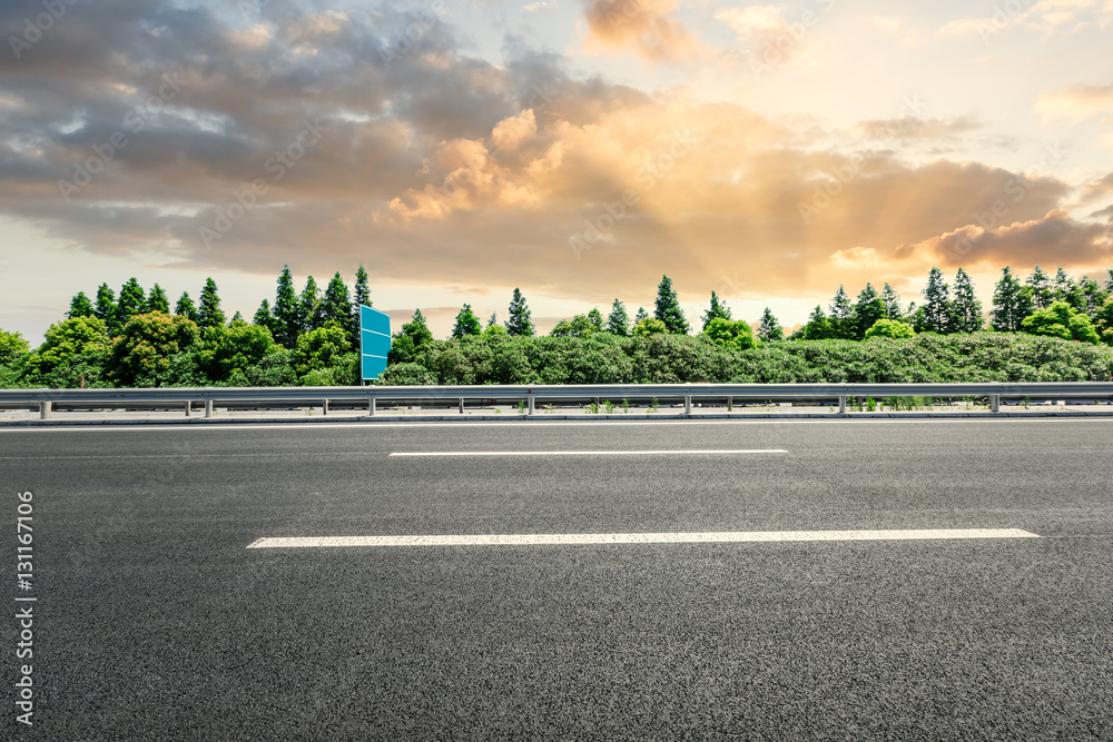 Asphalt road and forest