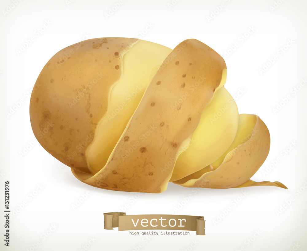 Vegetable potato peel spiral. Vector food