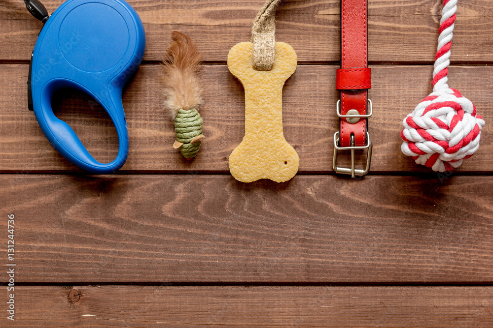 concept pet care and training on wooden background top view