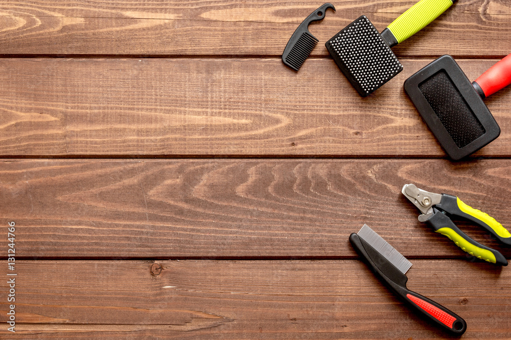 concept pet care and training on wooden background top view