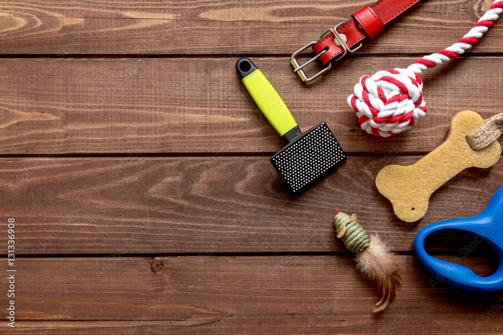 concept pet care and training on wooden background top view