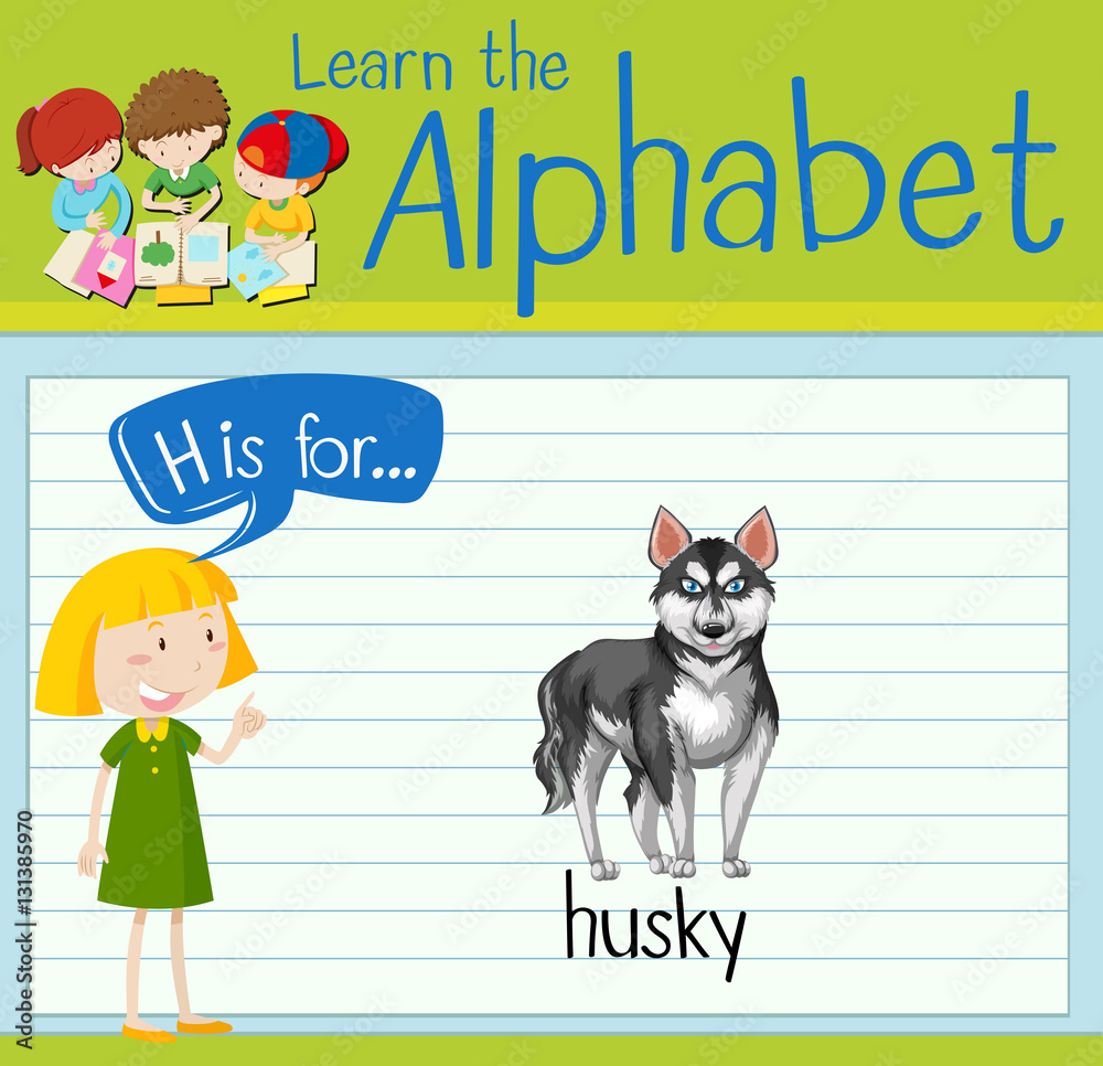 Flashcard letter H is for husky.