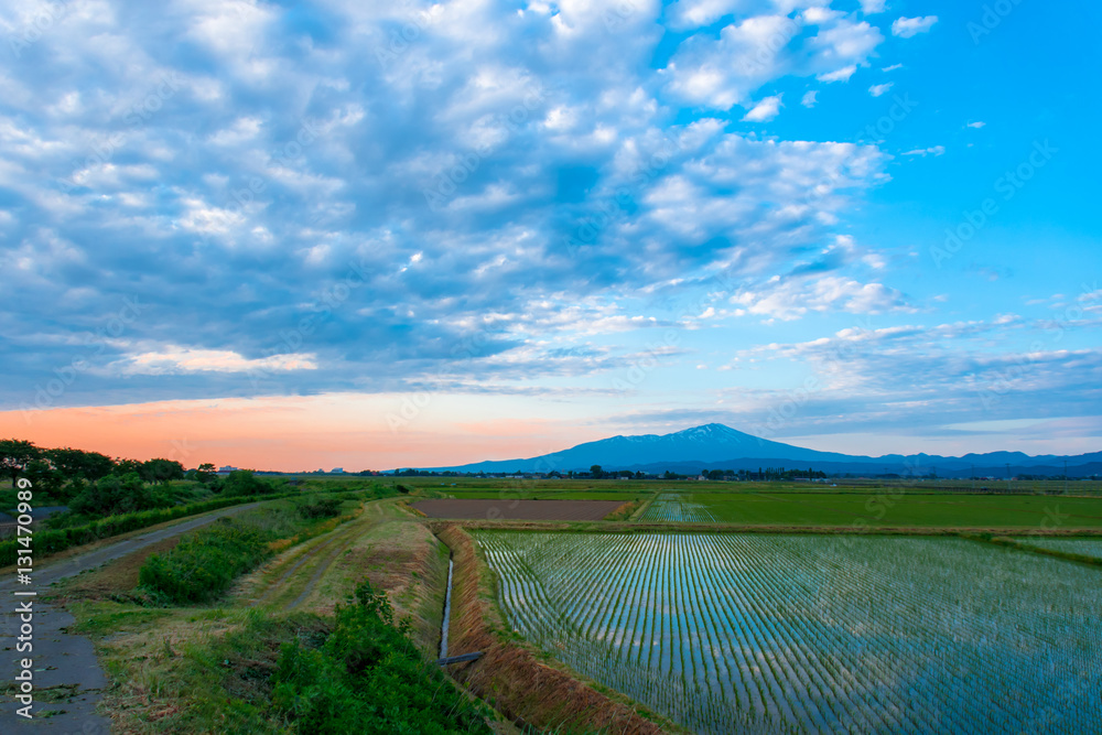 夕方の庄内平野