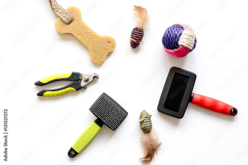 concept pet care and training on white background top view