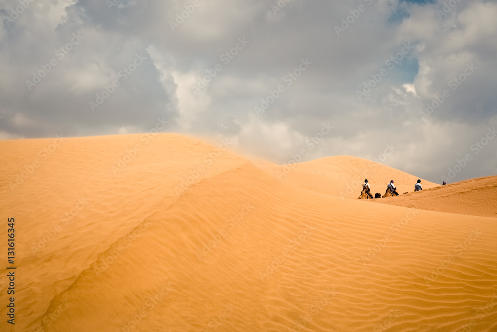 camel team in desert