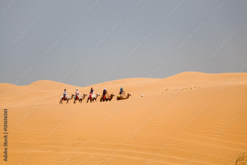 camels caravan riding in desert