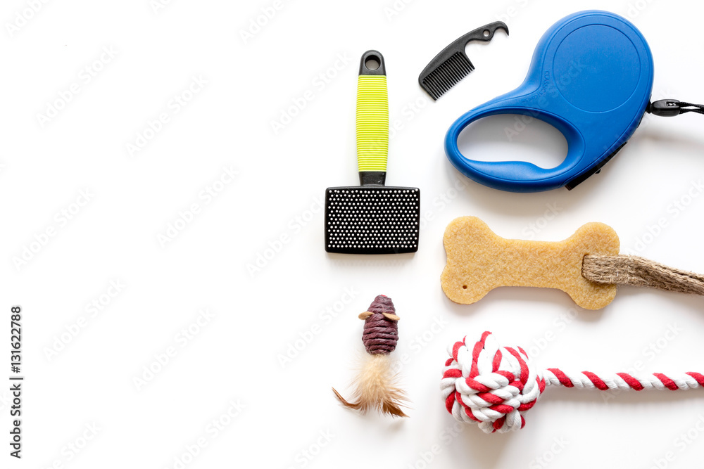 concept pet care and training on white background top view