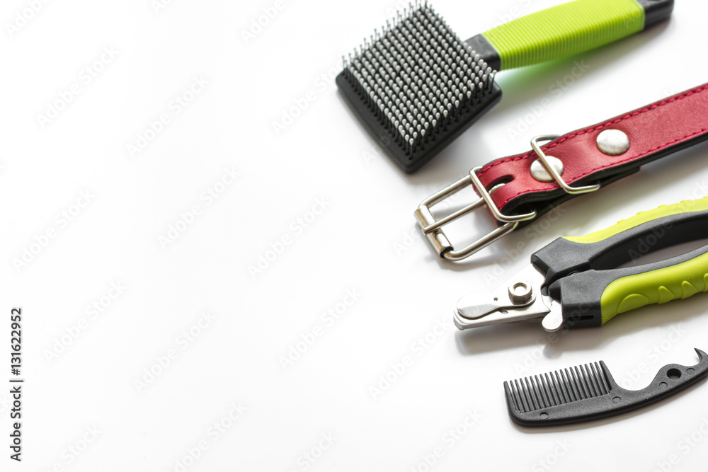 concept pet care and grooming on white background top view