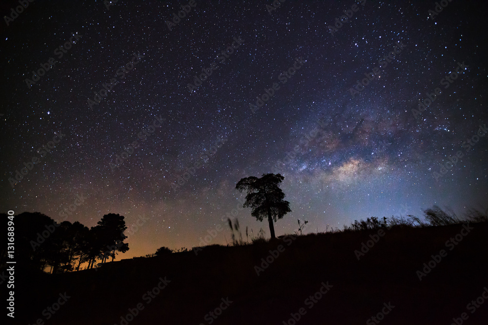 Beautiful milky way and silhouette of tree on a night sky before