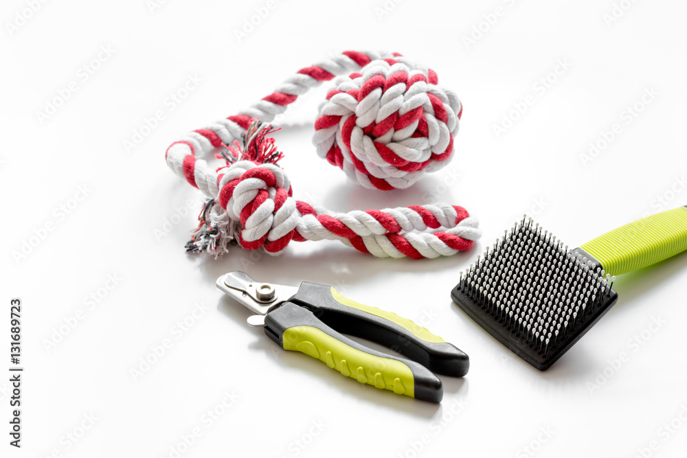 concept pet care and grooming on white background