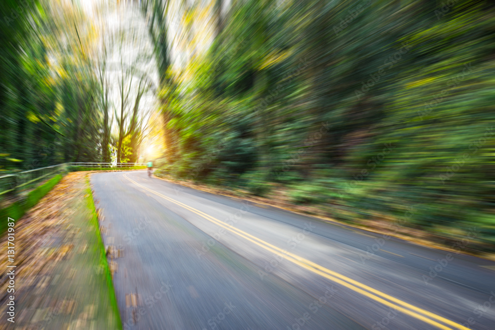 empty asphalt road through forest