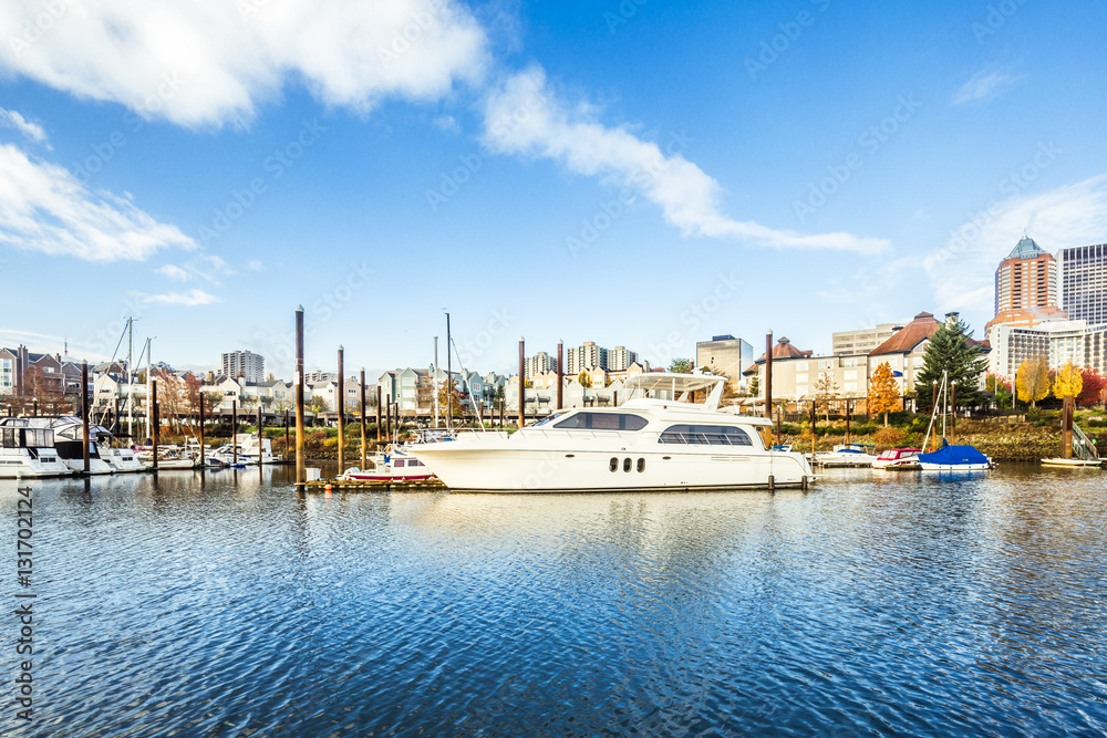 cityscape and skyline of portland from water